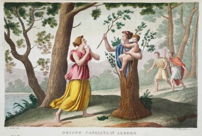 Dryope in een boom of Driope cangiata in albero, Boek IX, illustratie uit Ovidius